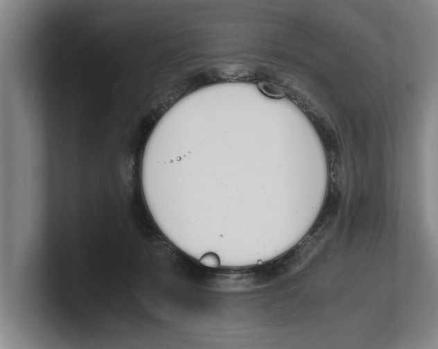 X0000100770319200807171417