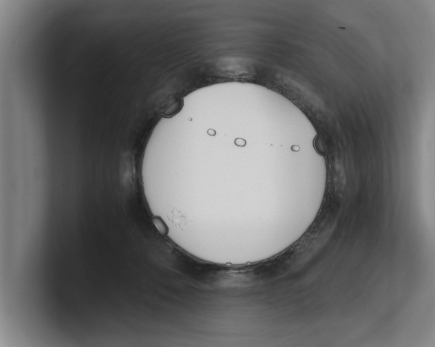 X0000100770320200807171417