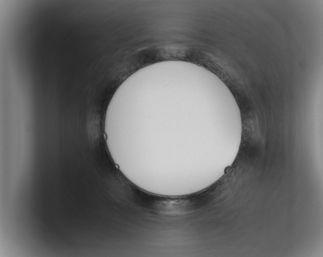 X0000100770323200807171417