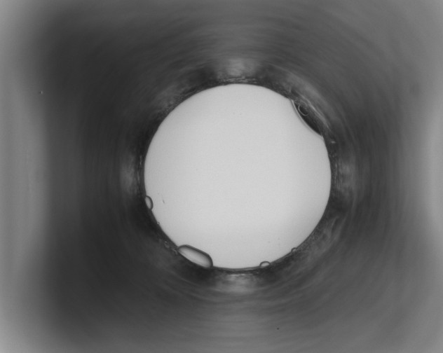 X0000100770324200807171417