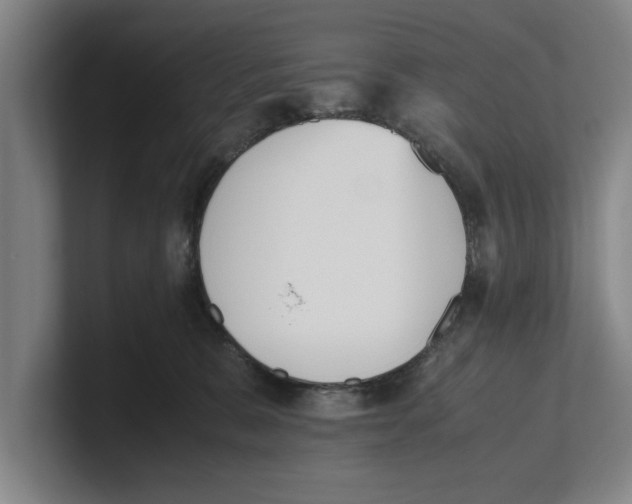 X0000100770327200807171417