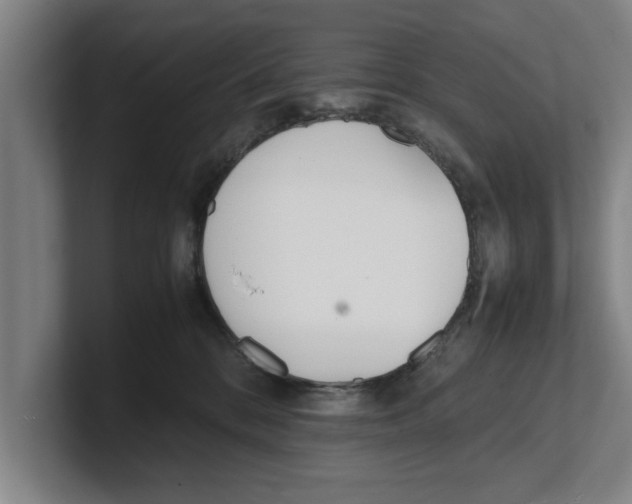 X0000100770328200807171417