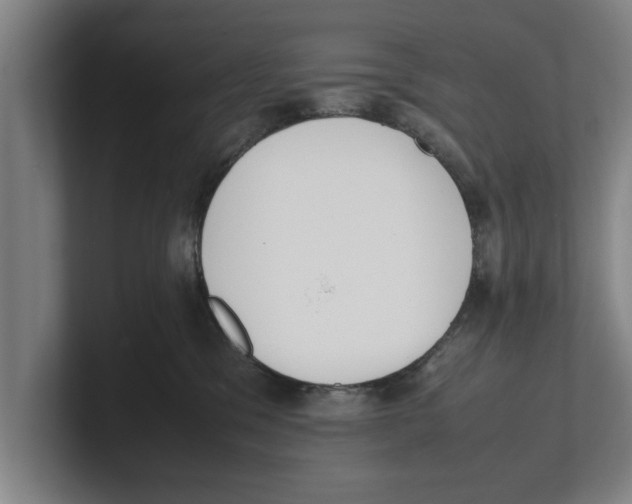 X0000100770329200807171417
