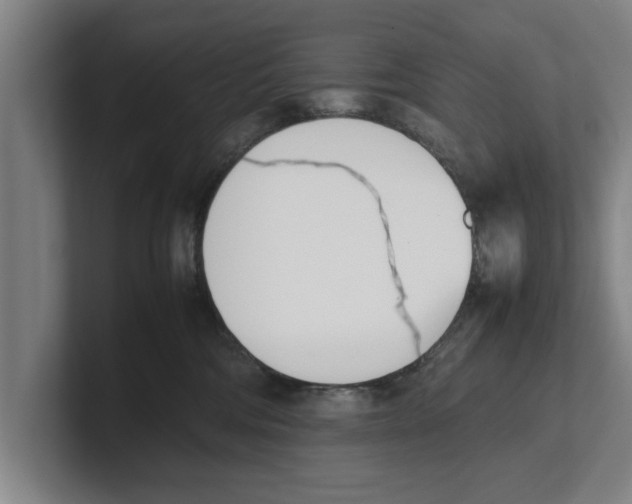 X0000100770330200807171417