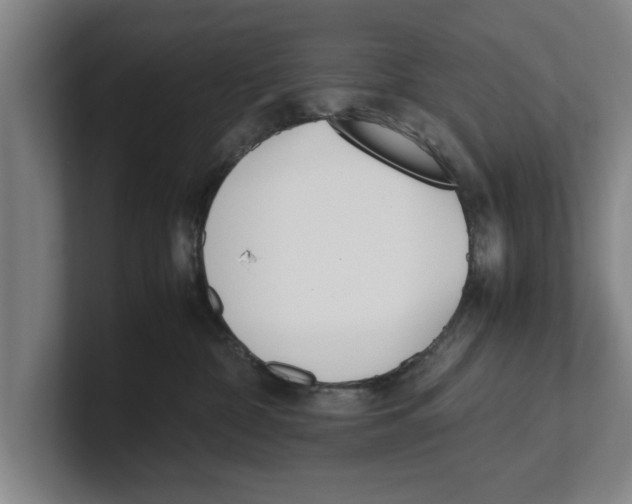 X0000100770332200807171417