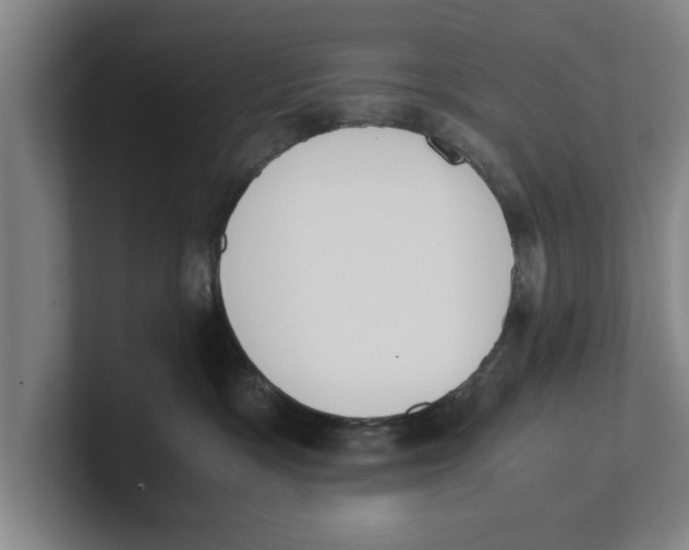 X0000100770333200807171417