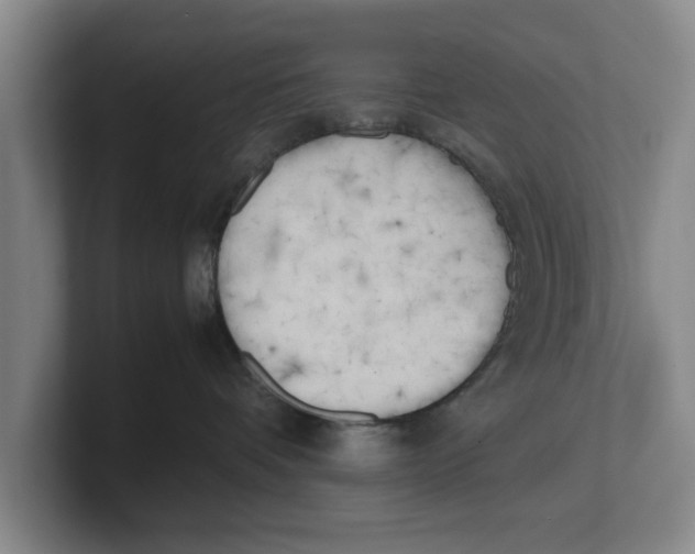 X0000100770336200807171417