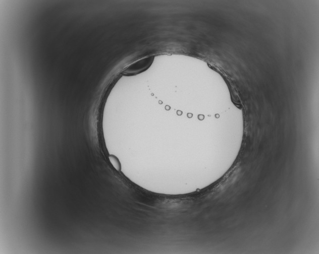 X0000100770341200807171416