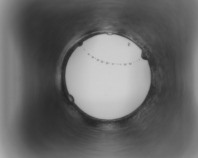 X0000100770344200807171416