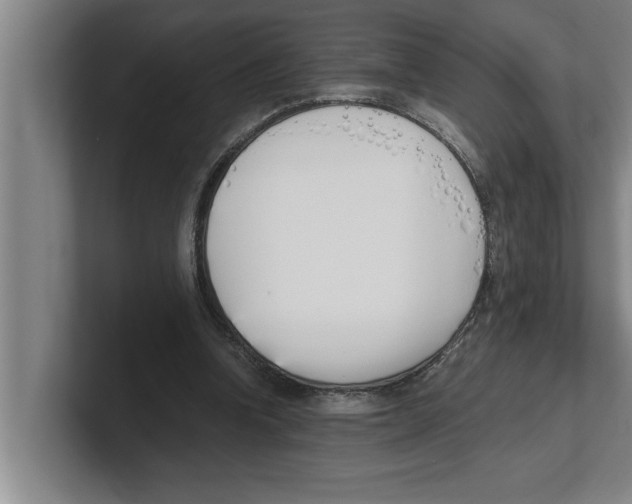 X0000100770346200807171416