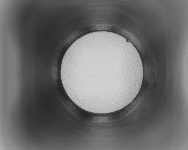 X0000100770354200807171416