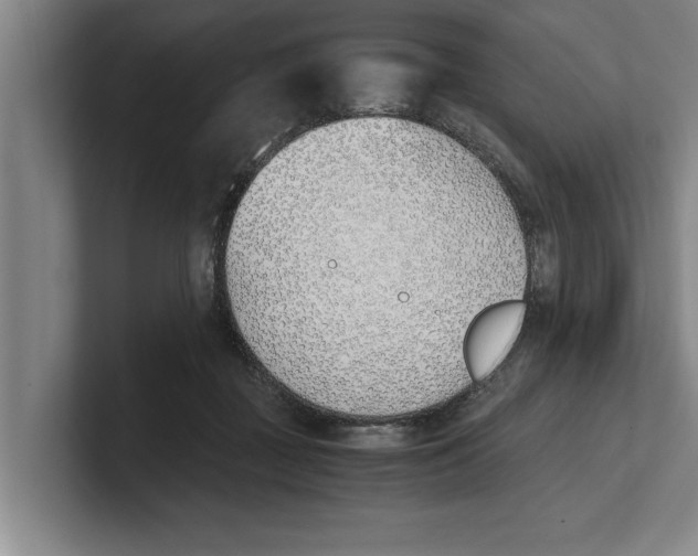 X0000100770363200807171417