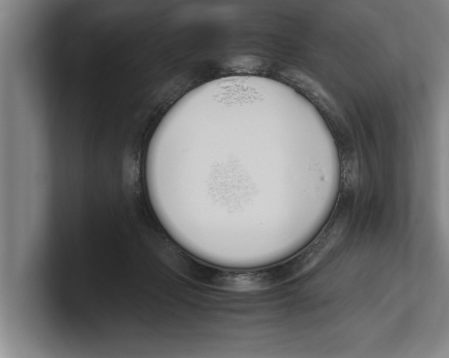 X0000100770365200807171417