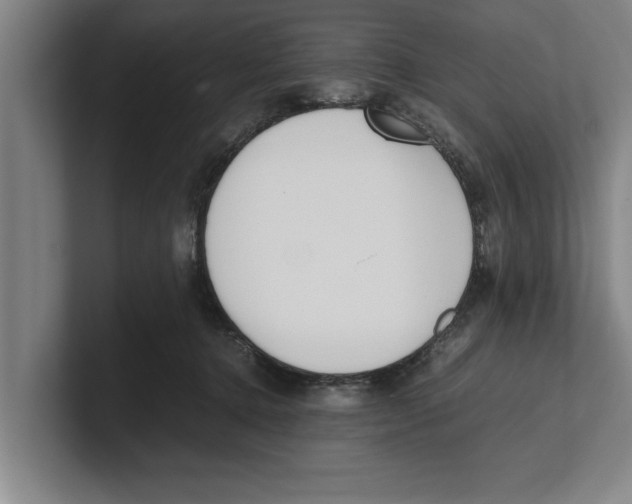 X0000100770368200807171417