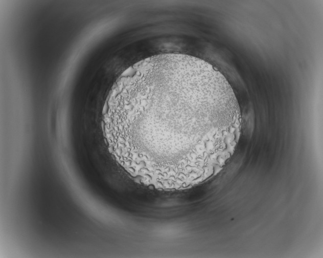 X0000100770381200807171417