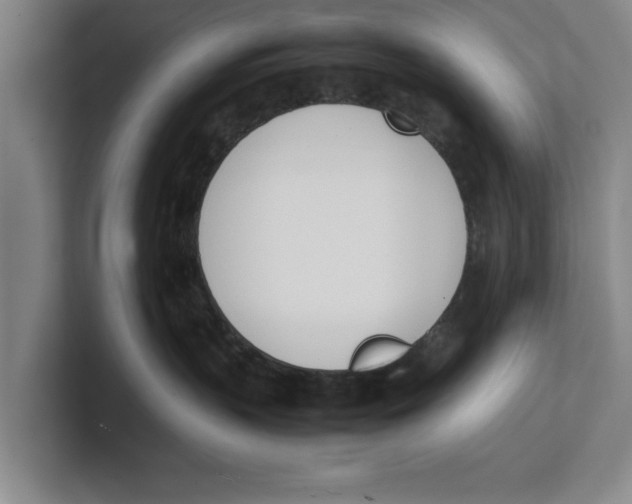 X0000100770383200807171417