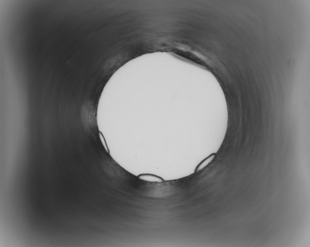 X0000100770384200807171417