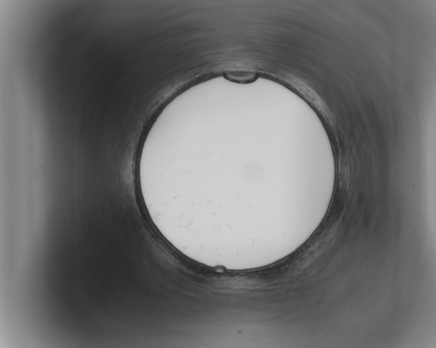 X0000100770389200807171416