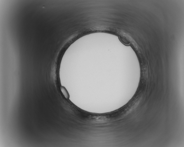 X0000100770395200807171416