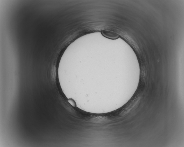 X0000100770397200807171416