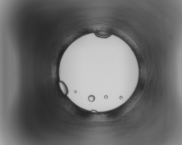 X0000100770403200807171416