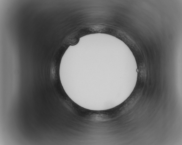 X0000100770408200807171416