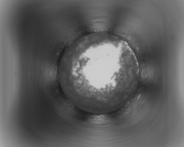 X0000100770411200807171416