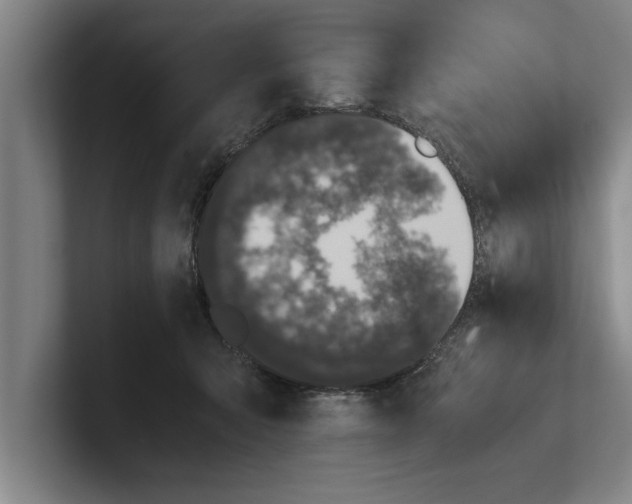 X0000100770415200807171416
