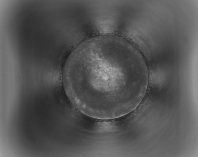 X0000100770419200807171416