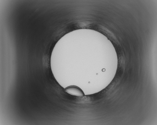 X0000100770421200807171416