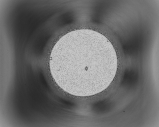X0000100770423200807171416