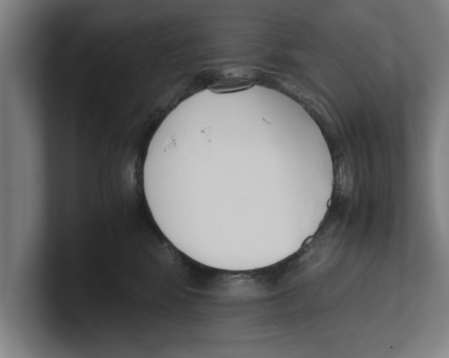 X0000100770424200807171416
