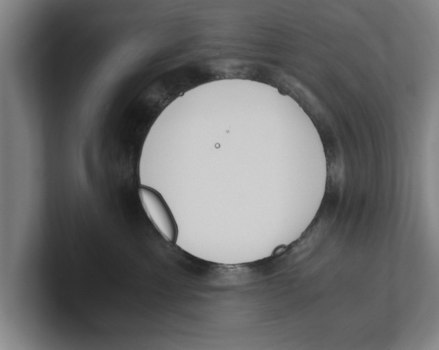 X0000100770429200807171416
