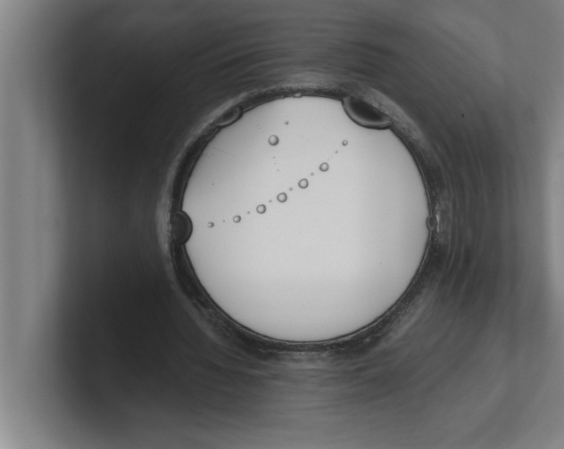 X0000100770436200807171415
