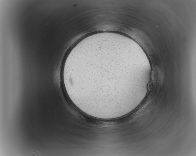 X0000100770438200807171415