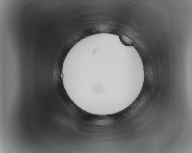 X0000100770459200807171415