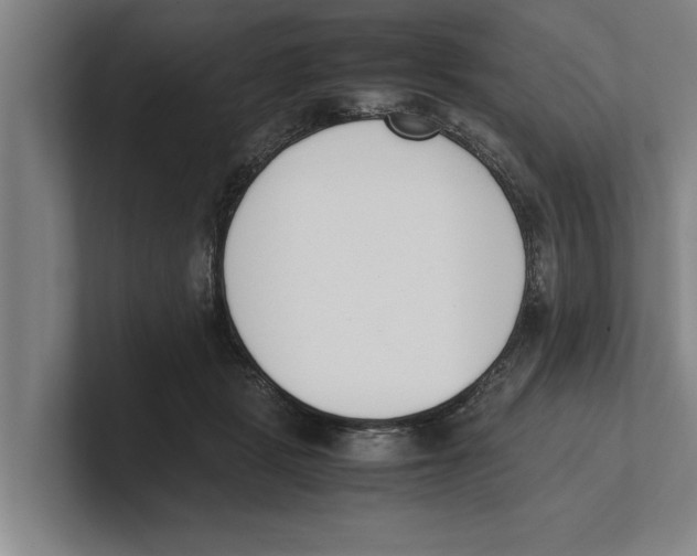 X0000100770461200807171415