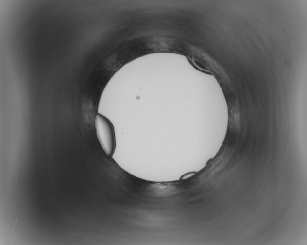 X0000100770477200807171415