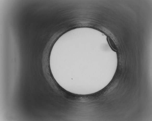 X0000100770481200807171415