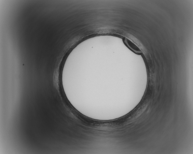 X0000100770485200807171415