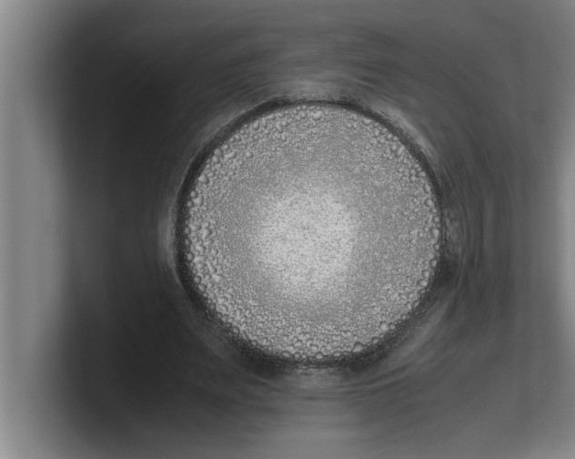 X0000100770487200807171415