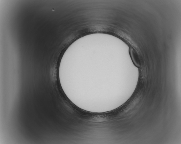 X0000100770489200807171415