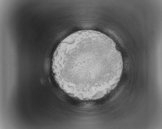 X0000100770495200807171415