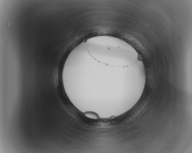 X0000100770496200807171415