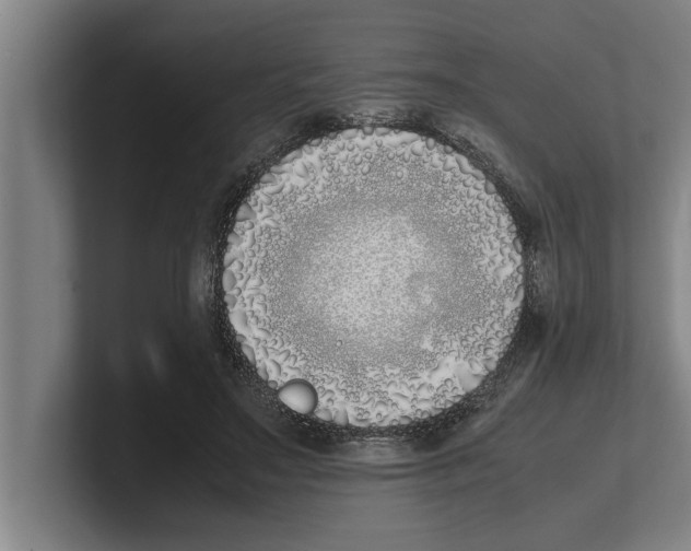 X0000100770499200807171415