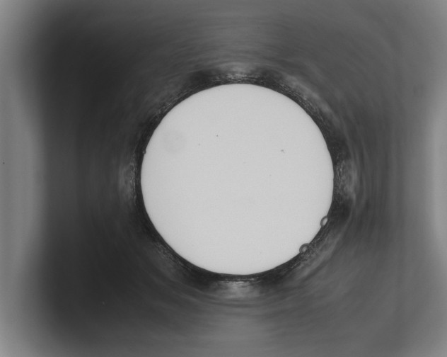 X0000100770509200807171414