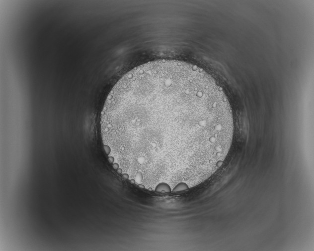 X0000100770511200807171414