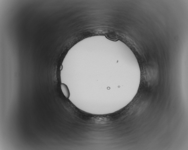 X0000100770512200807171414