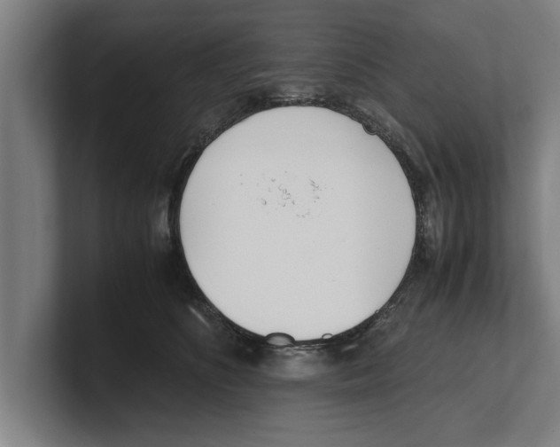 X0000100770516200807171414