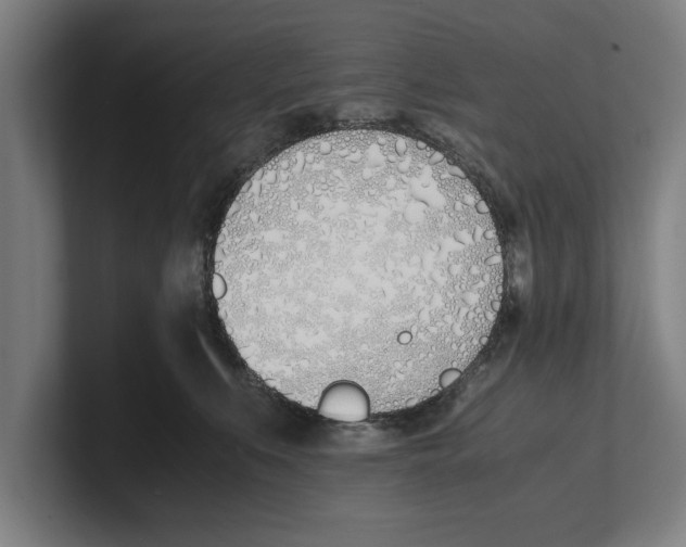 X0000100770519200807171414